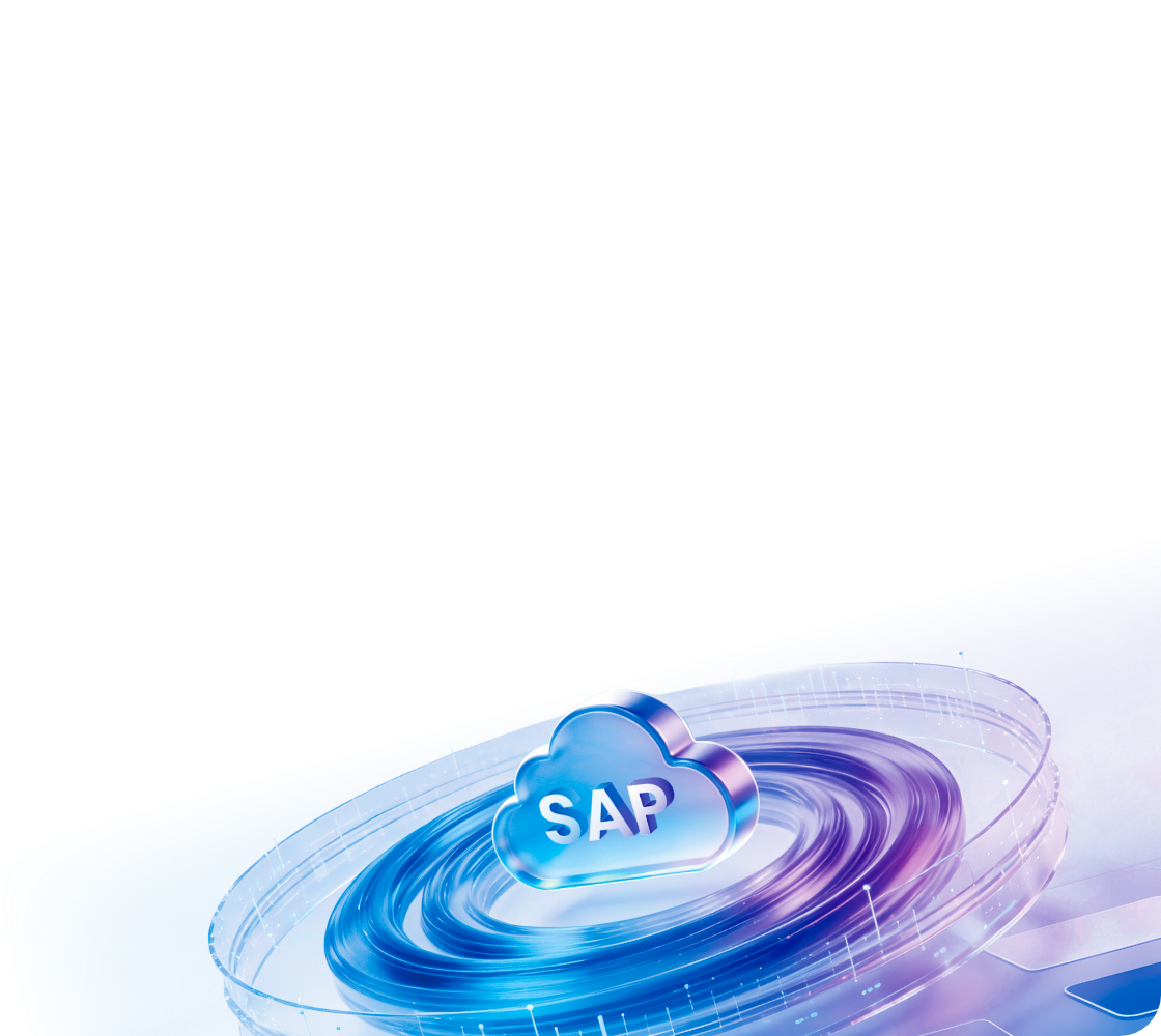 SAP EWM / ERP 标准能力